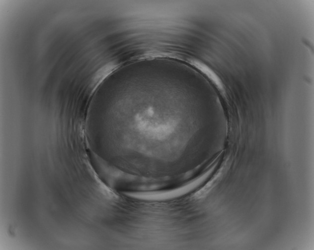 X0000091500809200708231443