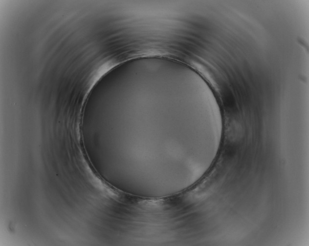 X0000091500810200708231443