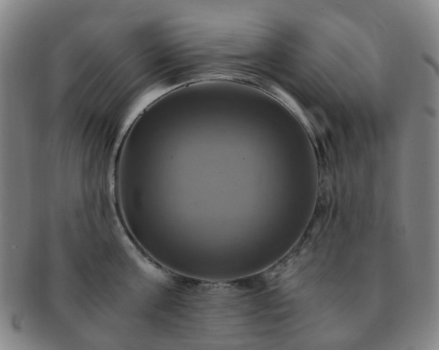 X0000091500811200708231443