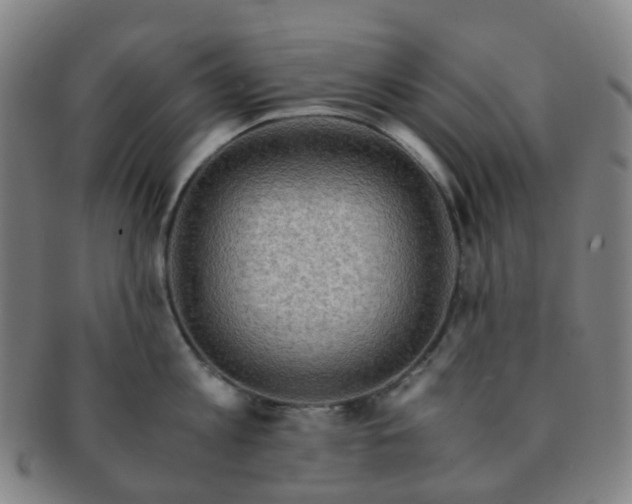 X0000091500813200708231443