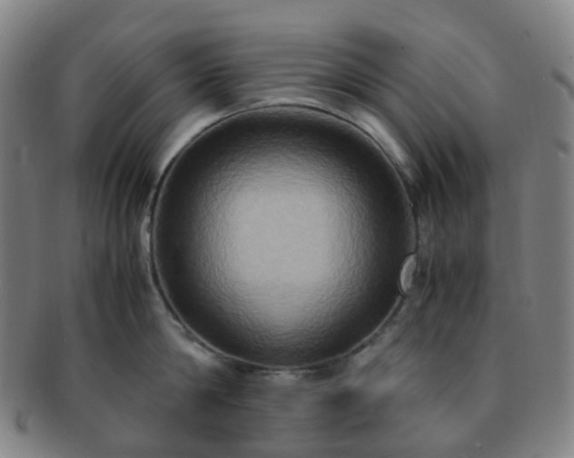 X0000091500814200708231443