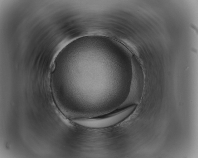 X0000091500816200708231443