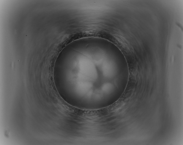 X0000091500817200708231442