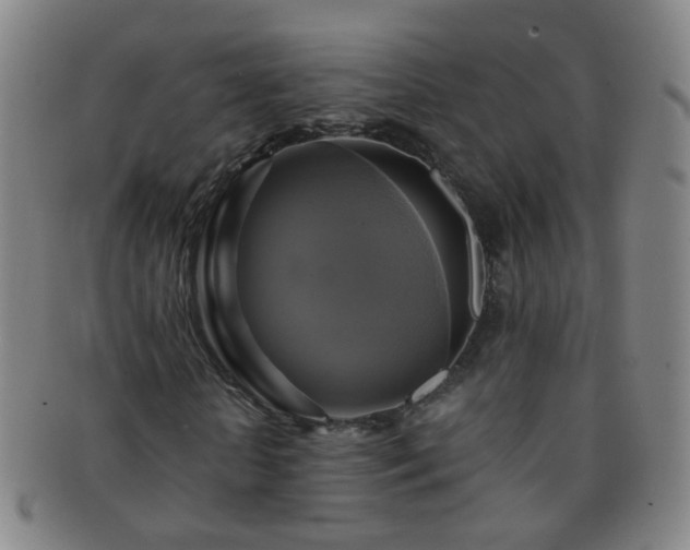 X0000091500818200708231442