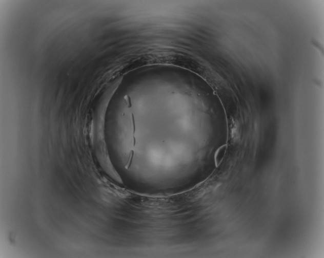 X0000091500819200708231442