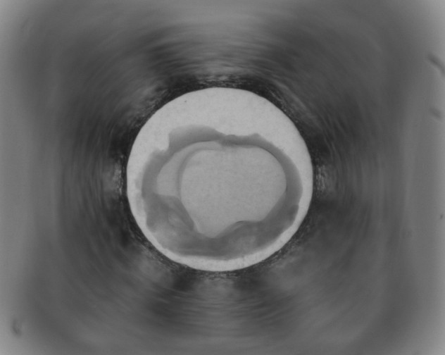 X0000091500820200708231442