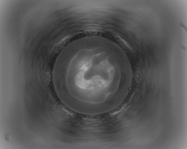 X0000091500821200708231442