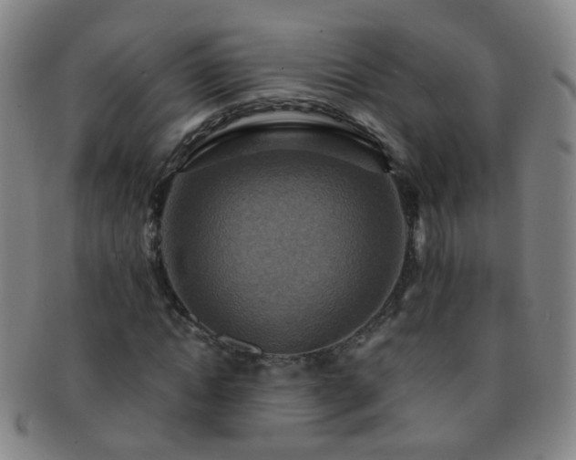 X0000091500822200708231442