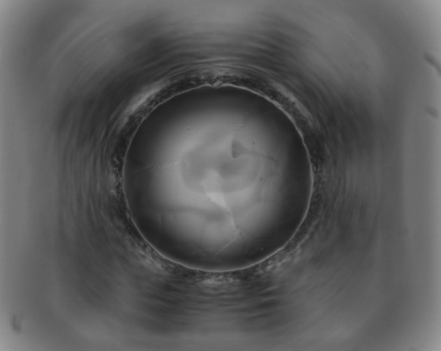 X0000091500823200708231442