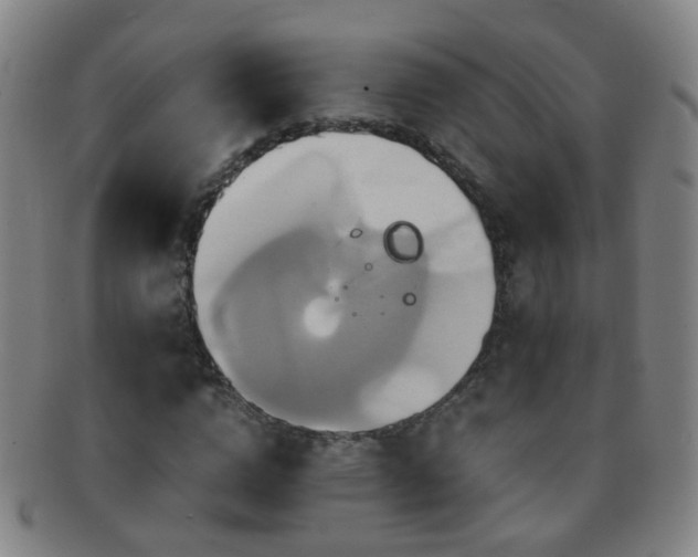 X0000091500824200708231442