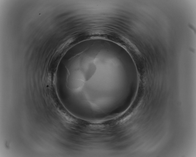X0000091500825200708231442