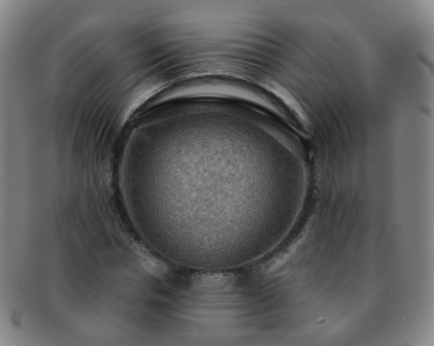 X0000091500826200708231442