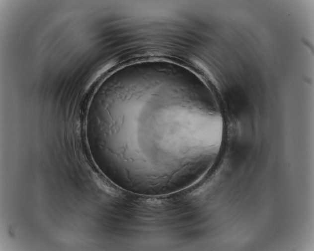 X0000091500827200708231442