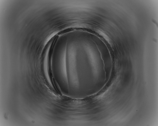 X0000091500829200708231442