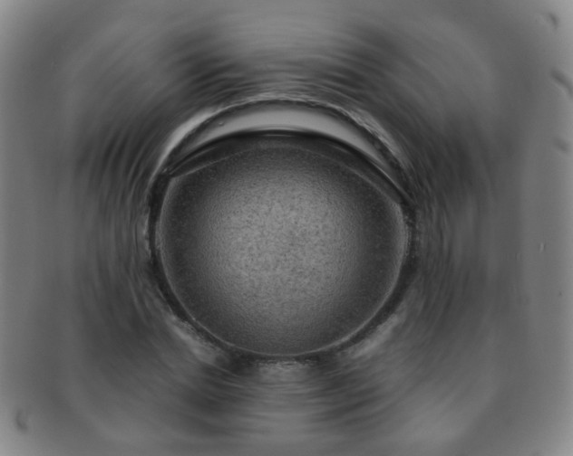 X0000091500830200708231442