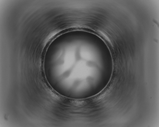 X0000091500831200708231442