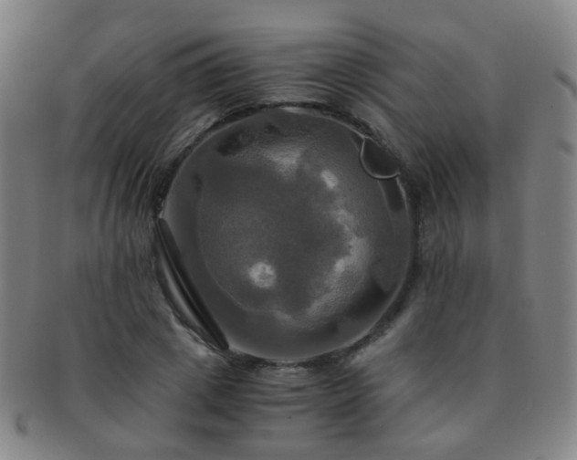 X0000091500833200708231442