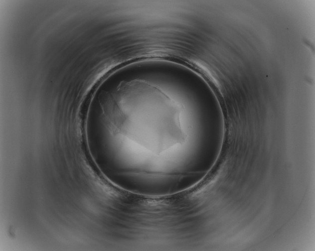 X0000091500835200708231442