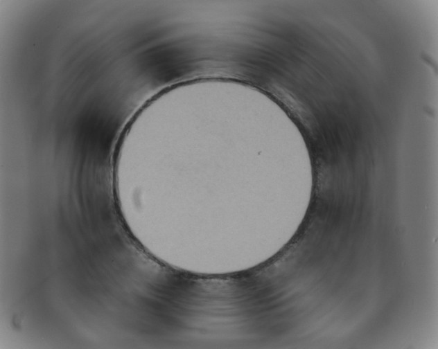 X0000091500836200708231442