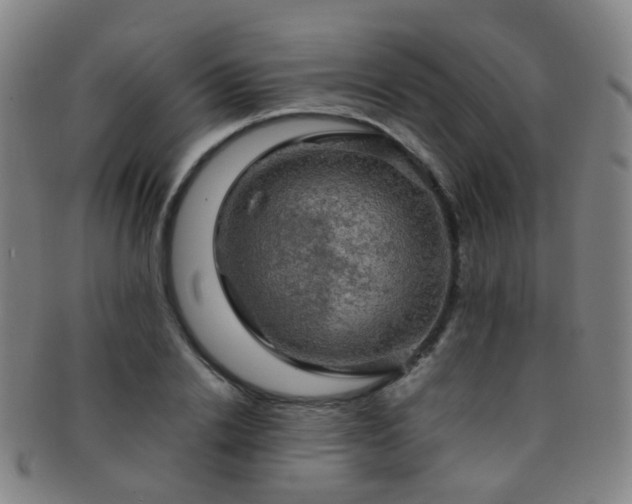 X0000091500838200708231442