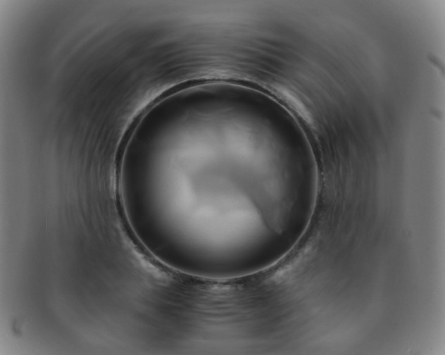 X0000091500839200708231442