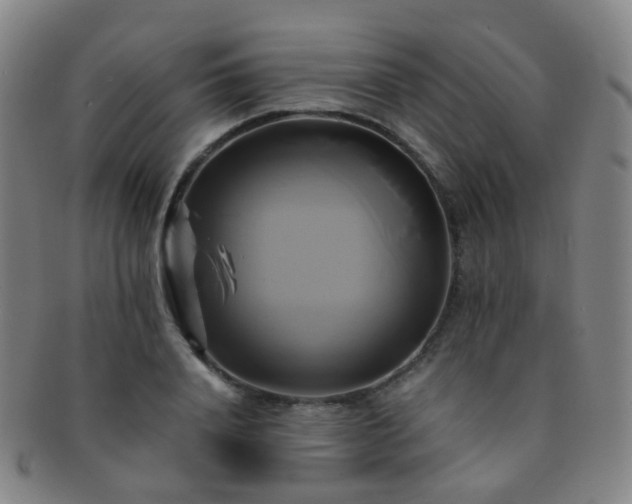X0000091500840200708231442