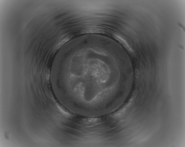 X0000091500841200708231442