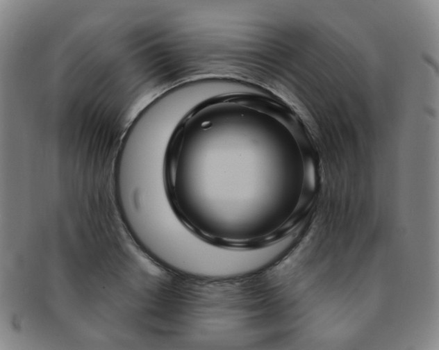 X0000091500842200708231442