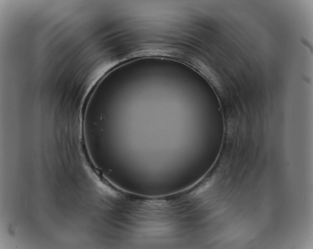 X0000091500844200708231442