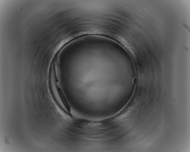 X0000091500845200708231442