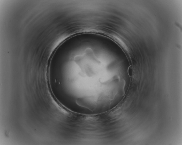 X0000091500847200708231442
