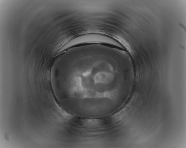 X0000091500849200708231443