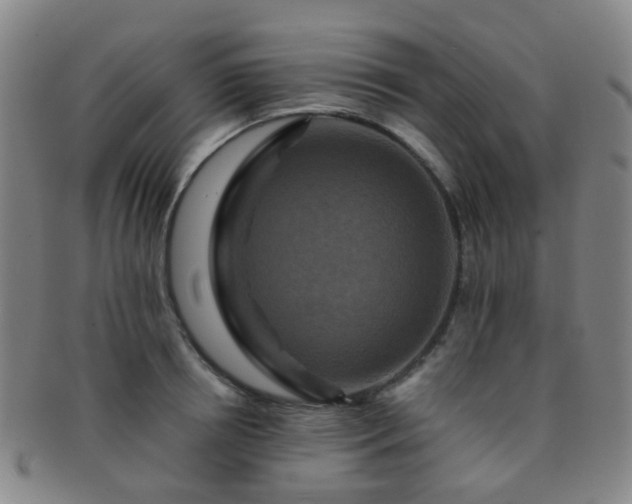 X0000091500850200708231443