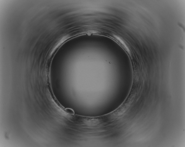 X0000091500851200708231443