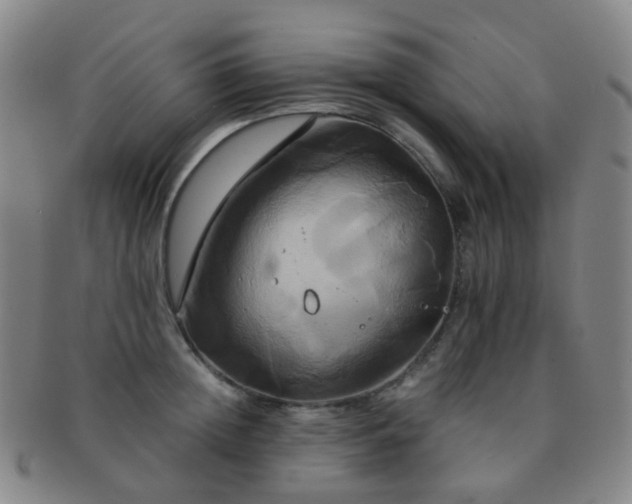 X0000091500852200708231443