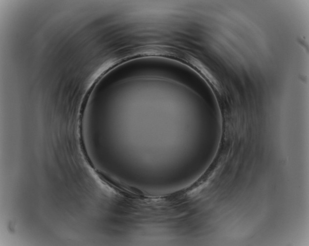 X0000091500853200708231443