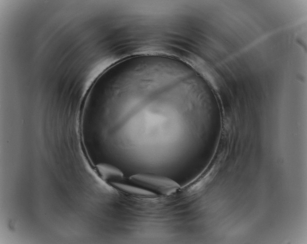 X0000091500855200708231443