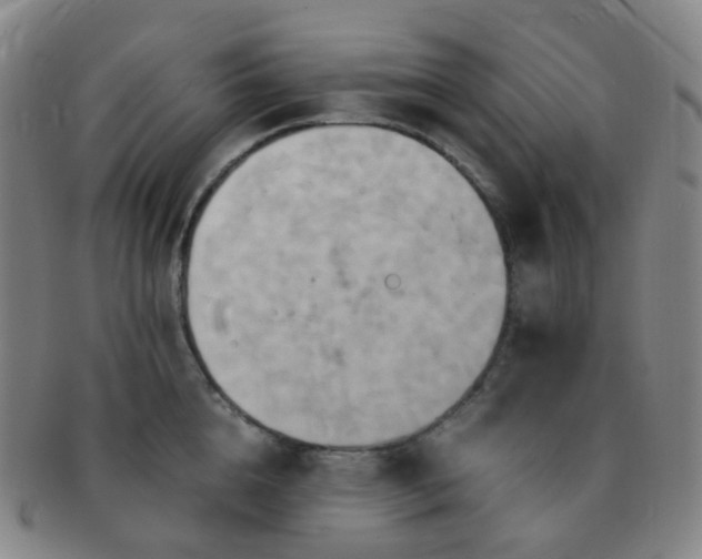 X0000091500856200708231443