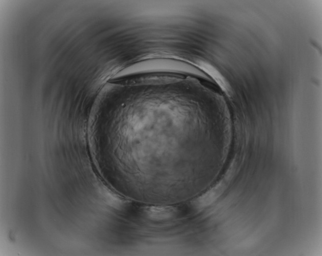 X0000091500857200708231443