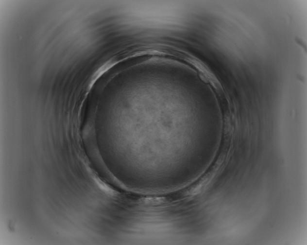 X0000091500858200708231443