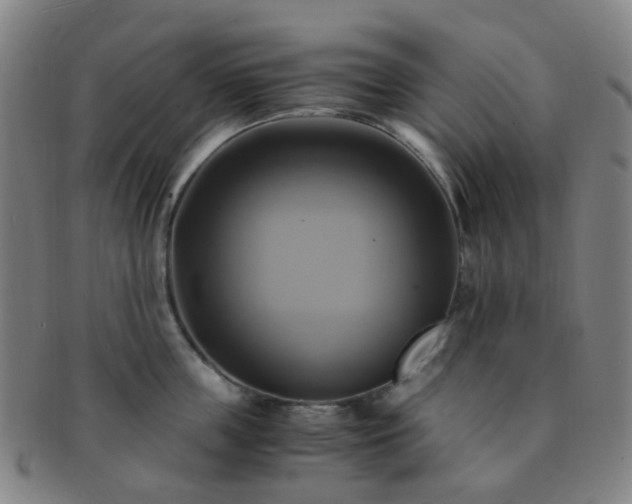 X0000091500859200708231443