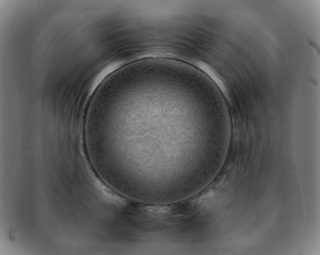 X0000091500861200708231443