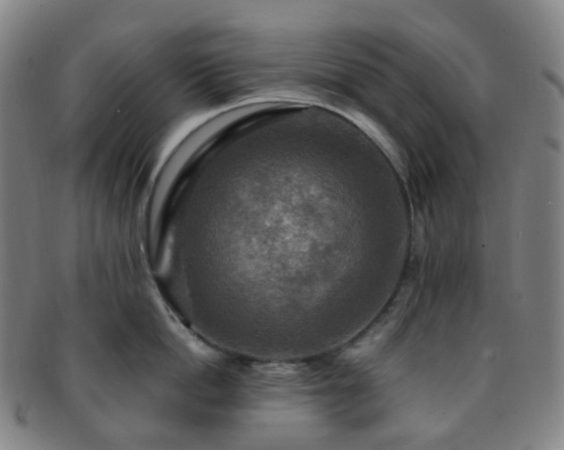 X0000091500862200708231443