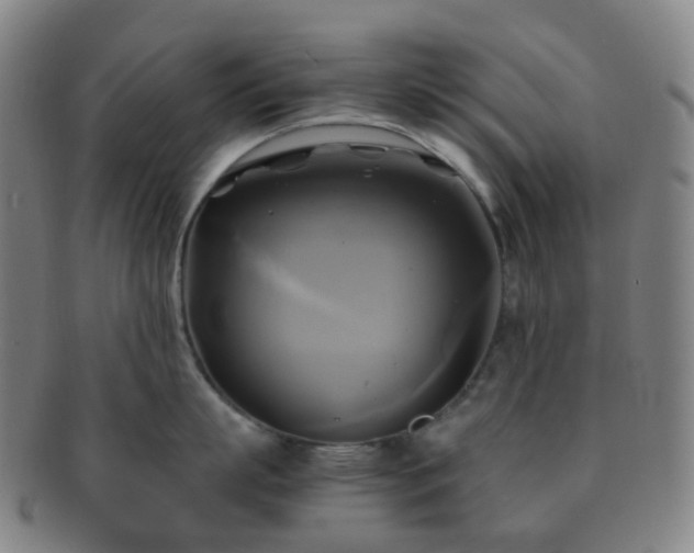 X0000091500863200708231443
