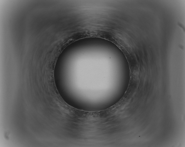 X0000091500865200708231442