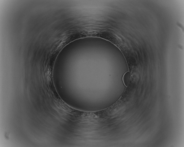 X0000091500866200708231442