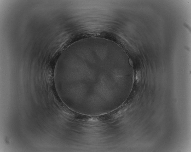 X0000091500867200708231442