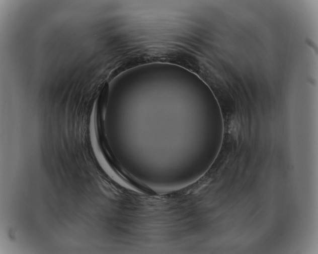 X0000091500868200708231442