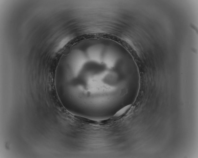 X0000091500871200708231442