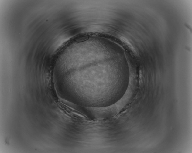 X0000091500872200708231442